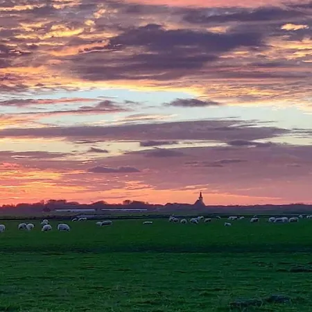In Texel Near De Krim * De Cocksdorp (Texel)
