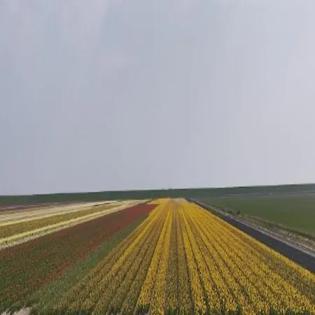 Villa In Texel Near De Krim *